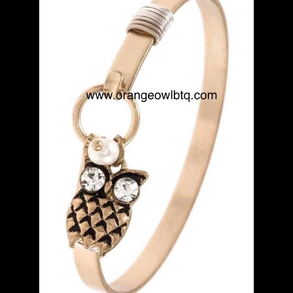 Gold Owl Bangle Bracelet